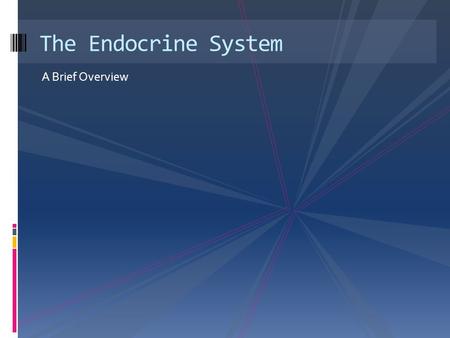 The Endocrine System A Brief Overview.