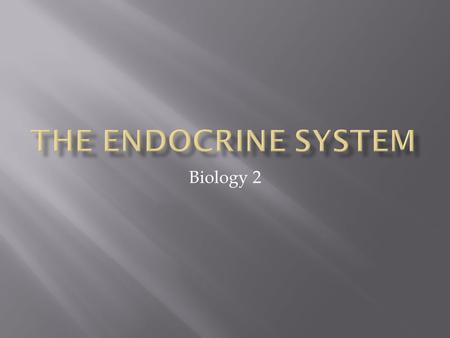 Biology 2.  Nervous system regulates many body activities.  Endocrine system regulates life functions.