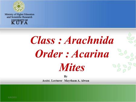 Class : Arachnida Order : Acarina Mites