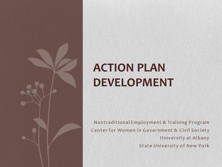 Nontraditional Employment & Training Program Center for Women in Government & Civil Society University at Albany State University of New York ACTION PLAN.