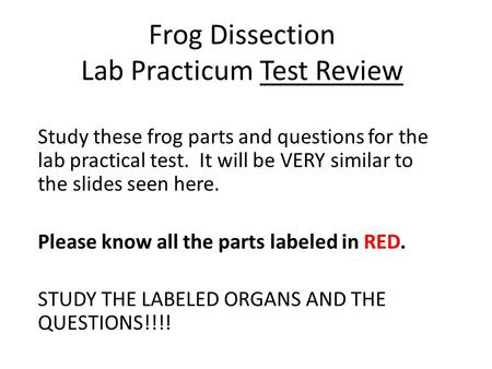 Frog Dissection Lab Practicum Test Review