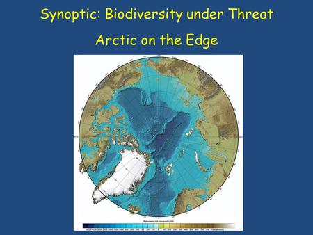 Synoptic: Biodiversity under Threat Arctic on the Edge