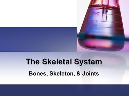 Bones, Skeleton, & Joints