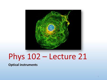 Phys 102 – Lecture 21 Optical instruments 1. Today we will... Learn how combinations of lenses form images Thin lens equation & magnification Learn about.