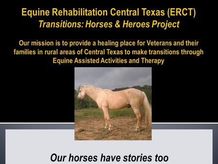 Our horses have stories too. 10 WEEK PROGRAM: EQUINE ASSISTED THERAPY 6 WEEKS THERAPEUTIC HORSEBACK RIDING 4 WEEKS  Rural veterans and families  Transportation.