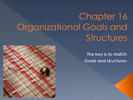 Chapter 16 Organizational Goals and Structures