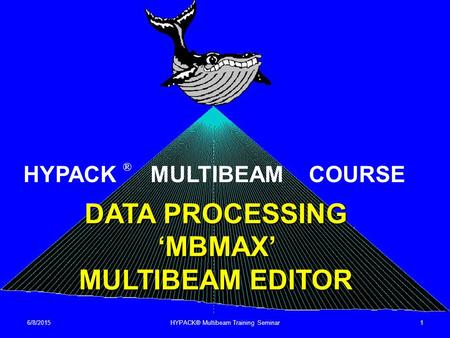 DATA PROCESSING ‘MBMAX’ MULTIBEAM EDITOR
