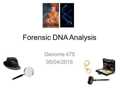 Forensic DNA Analysis Genome 475 05/04/2015. Forensics “Of, relating to, or denoting the application of scientific methods and techniques to the investigation.