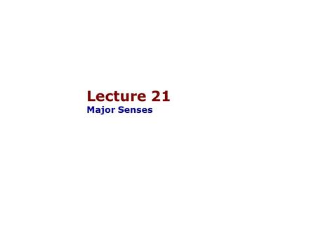 Lecture 21 Major Senses.