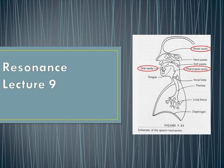 Pitch changes result from changing the length and tension of the vocal folds The pitch you produce is based on the number of cycles (vocal fold vibrations)