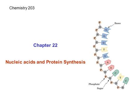 Nucleic acids and Protein Synthesis