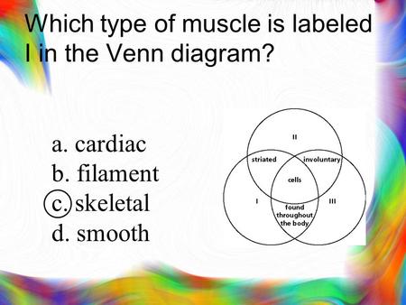 Which type of muscle is labeled I in the Venn diagram? a. cardiac b. filament c. skeletal d. smooth.