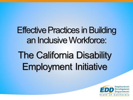 Effective Practices in Building an Inclusive Workforce: