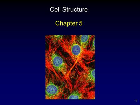 Cell Structure Chapter 5.