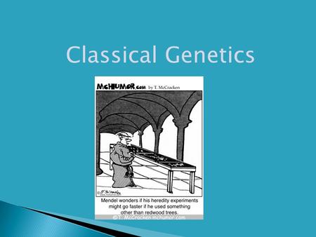 Classical Genetics.