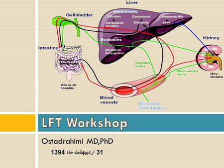 LFT Workshop Ostadrahimi MD,PhD 31 اردیبهشت ماه 1394.