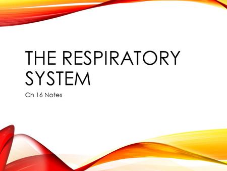 THE RESPIRATORY SYSTEM Ch 16 Notes. IDENTIFY THE FUNCTIONS OF THE RESPIRATORY SYSTEM. Obtaining oxygen and removing carbon dioxide. Cellular Respiration: