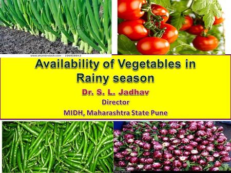 Availability of Vegetables in Rainy season