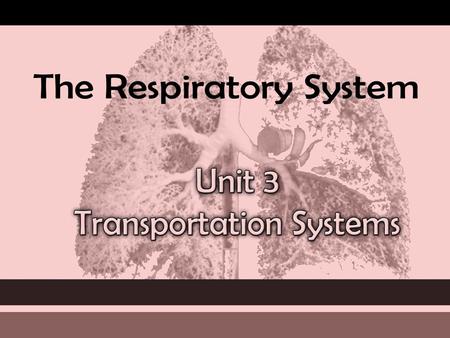 The RESPIRATORY System Unit 3 Transportation Systems.