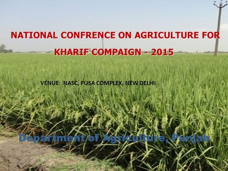 NATIONAL CONFRENCE ON AGRICULTURE FOR KHARIF COMPAIGN - 2015 NATIONAL CONFRENCE ON AGRICULTURE FOR KHARIF COMPAIGN - 2015 Department of Agriculture, Punjab.