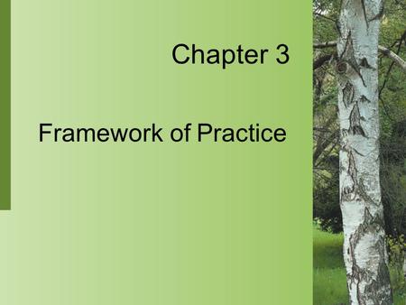 Chapter 3 Framework of Practice.