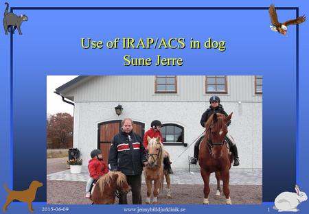 2015-06-09 www.jennyhilldjurklinik.se1 Use of IRAP/ACS in dog Sune Jerre.
