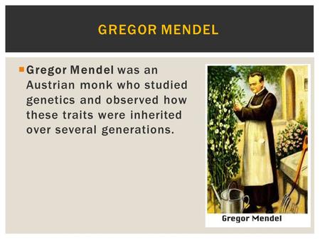 Gregor Mendel Gregor Mendel was an Austrian monk who studied genetics and observed how these traits were inherited over several generations. Great.
