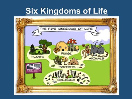 Six Kingdoms of Life.