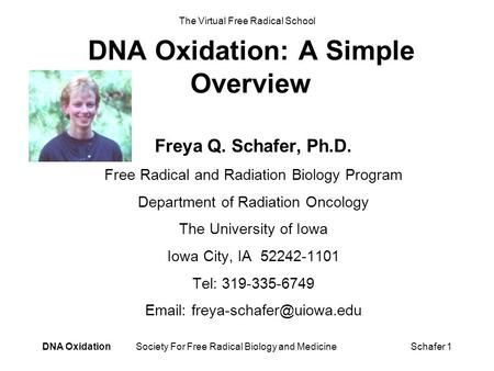 DNA Oxidation Society For Free Radical Biology and MedicineSchafer 1 DNA Oxidation: A Simple Overview Freya Q. Schafer, Ph.D. Free Radical and Radiation.