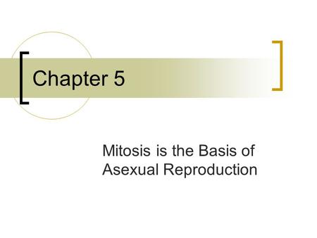 Mitosis is the Basis of Asexual Reproduction