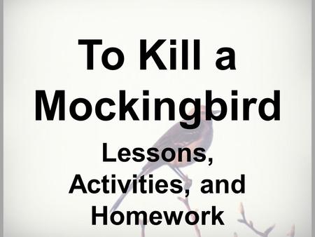 Lessons, Activities, and Homework