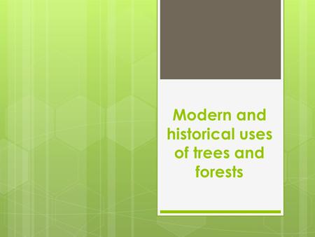 Modern and historical uses of trees and forests. Early Tree use People were food gatherers and depended on the forest for all their needs: food, clothing.