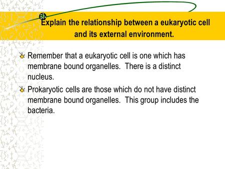 Explain the relationship between a eukaryotic cell and its external environment. Remember that a eukaryotic cell is one which has membrane bound organelles.