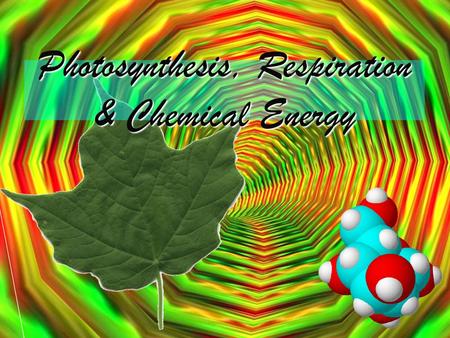 Photosynthesis, Respiration & Chemical Energy. Chemical Change (Reaction) Chemical reactions occur when old bonds break and new bonds form.