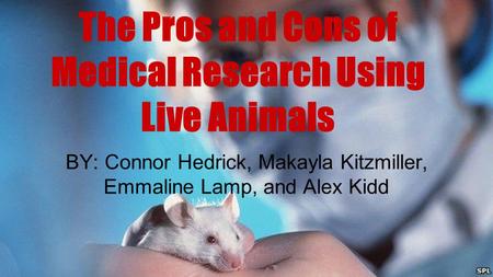 BY: Connor Hedrick, Makayla Kitzmiller, Emmaline Lamp, and Alex Kidd The Pros and Cons of Medical Research Using Live Animals.
