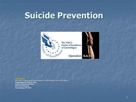 1 Suicide Prevention Developed by: Education, Training, and Dissemination core of the VISN 2 Center of Excellence Canandaigua VA Medical Center Center.