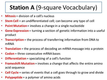 Station A (9-square Vocacbulary)