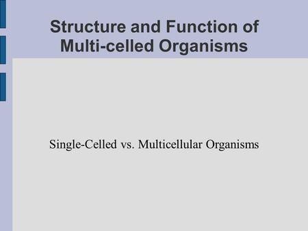 Structure and Function of Multi-celled Organisms