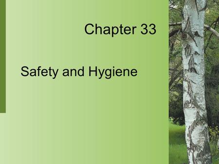 Chapter 33 Safety and Hygiene. 33-2 Copyright 2004 by Delmar Learning, a division of Thomson Learning, Inc. Safety Culture  Excellent nursing care is.