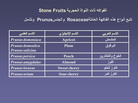 الفواكه ذات النواة الحجرية Stone Fruits