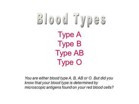 Type A Type B Type AB Type O Blood Types