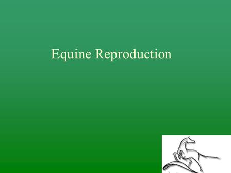 Equine Reproduction.