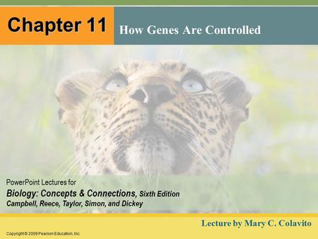 Copyright © 2009 Pearson Education, Inc. PowerPoint Lectures for Biology: Concepts & Connections, Sixth Edition Campbell, Reece, Taylor, Simon, and Dickey.
