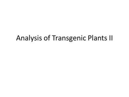 Analysis of Transgenic Plants II. Ultimately sequencing?