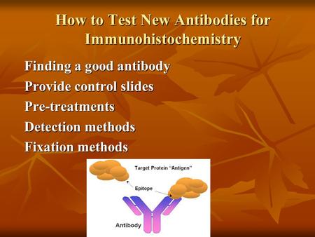How to Test New Antibodies for Immunohistochemistry Finding a good antibody Provide control slides Pre-treatments Detection methods Fixation methods.