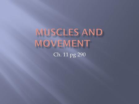 Ch. 11 pg 290. The movement in humans involves bones, ligaments, muscles, tendons and nerves.