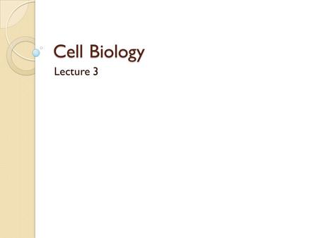 Cell Biology Lecture 3. Function of Plasma Membrane Mechanical Support Cell Signaling Selective permeability Active transport Bulk Transport Metabolic.