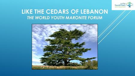 LIKE THE CEDARS OF LEBANON THE WORLD YOUTH MARONITE FORUM.