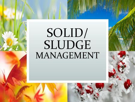 SOLID/ SLUDGE MANAGEMENT
