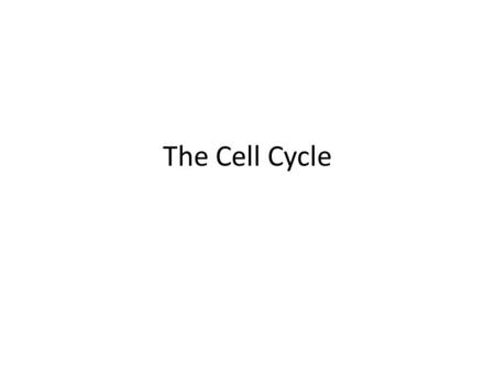 The Cell Cycle. What are your cells doing right now? Your body is made of trillions of cells At any given point approximately 1 million of your cells.